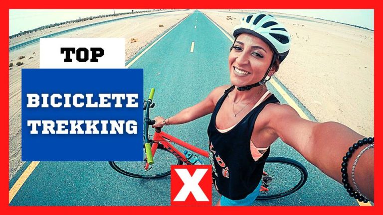 biciclete trekking barbati si femei
